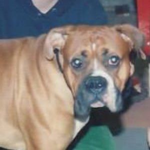 Meet your Posher, Kylee